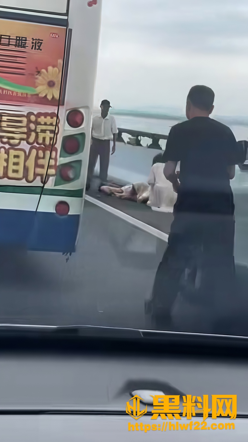 广东汕头南澳大桥车祸真相3