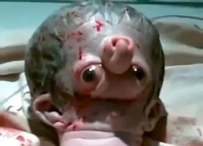 章魚跟人類基因的結合試驗 的封面