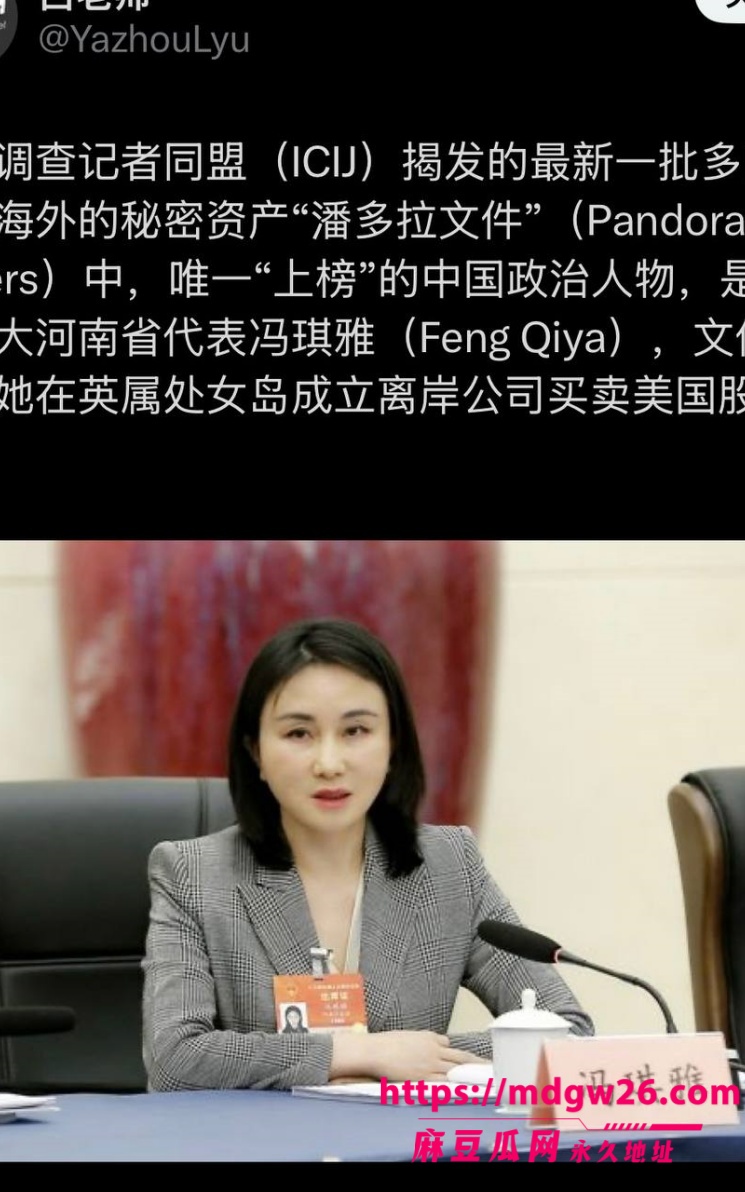 正部级官员 魏小东10