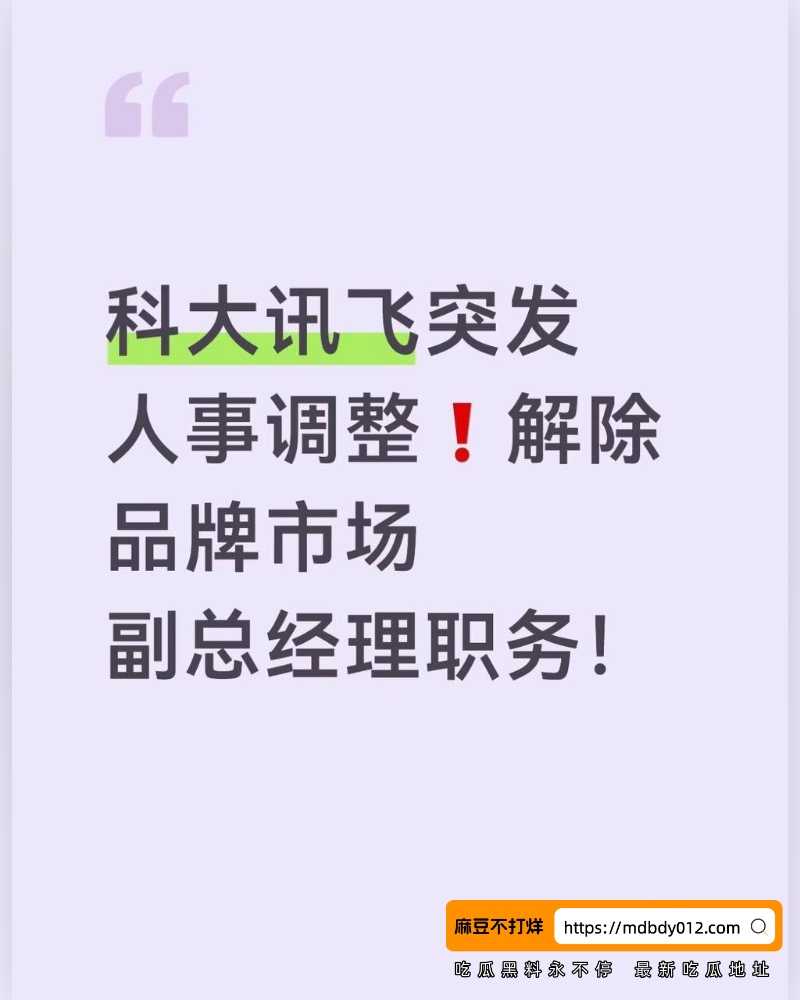 科大讯飞公关 (61)