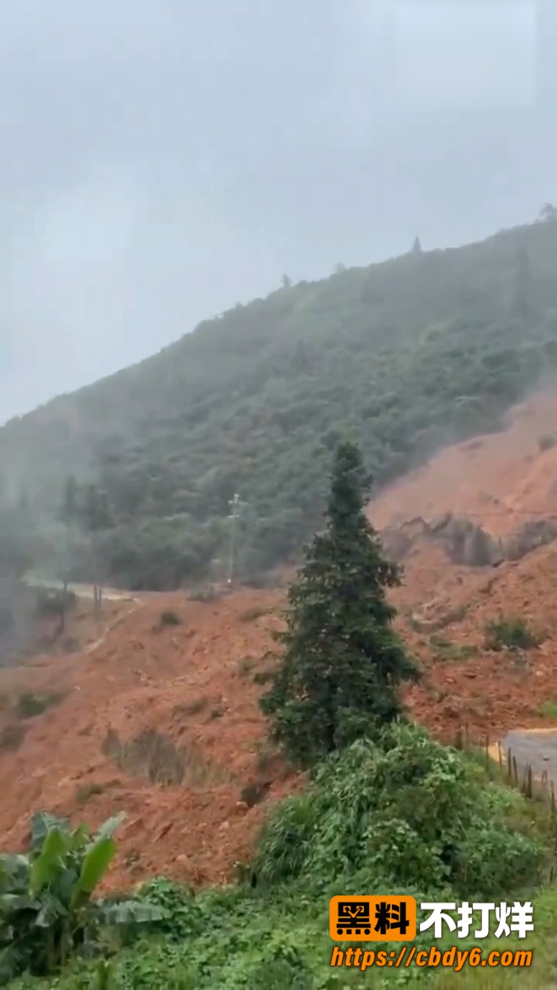 江西吉安高坪镇2