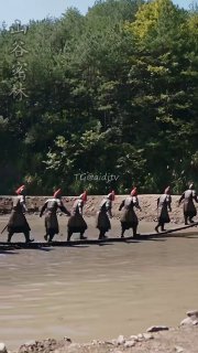 #AI短剧 #穿越短剧 #假太子真皇帝 127-132集 (1/6)