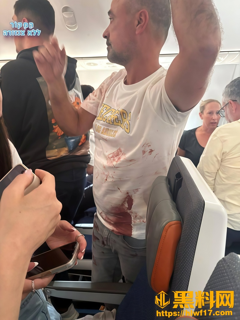 迪拜航空刺伤机长事件 2