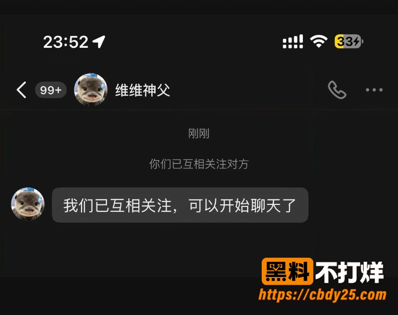 维维神父 27