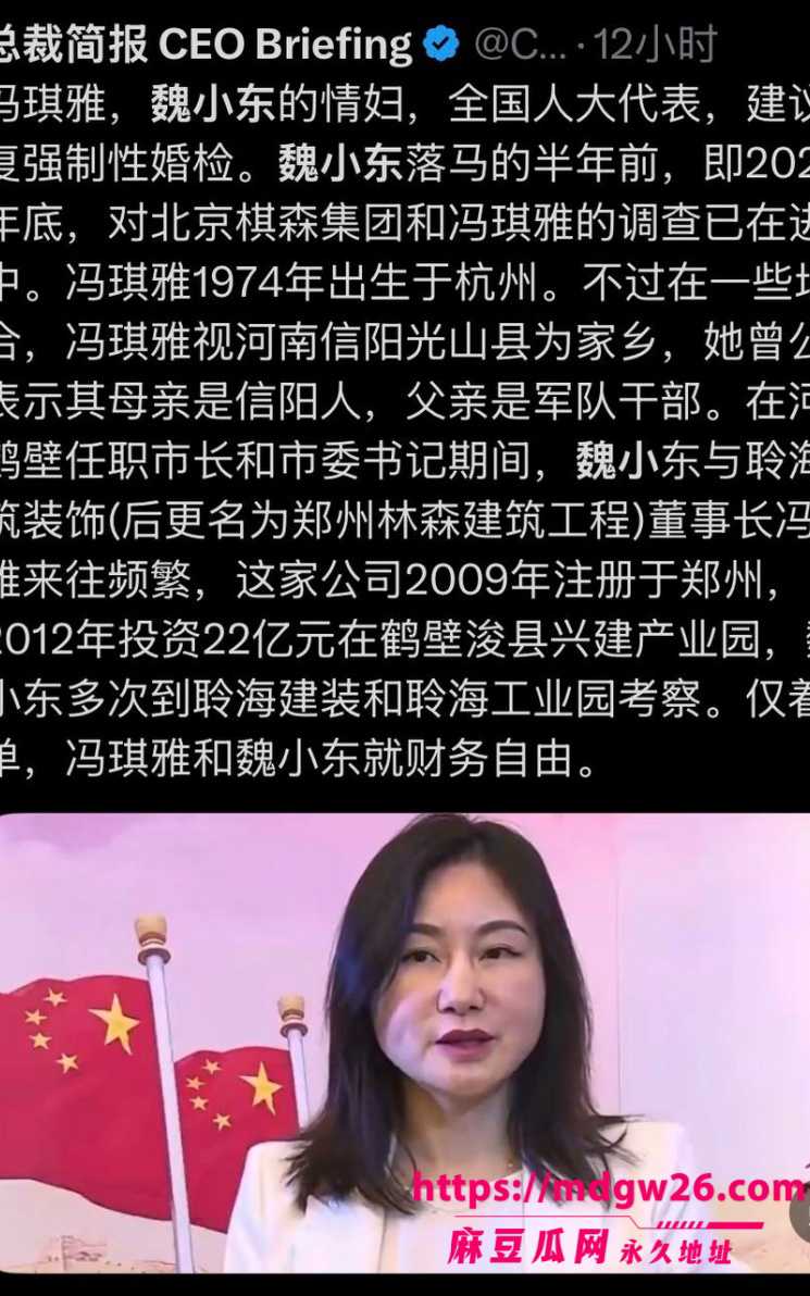 正部级官员 魏小东8
