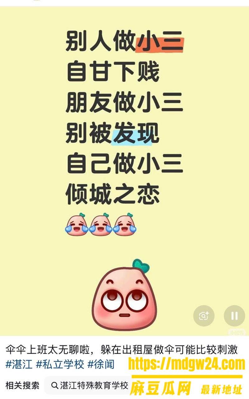 湛江市中英文学校3