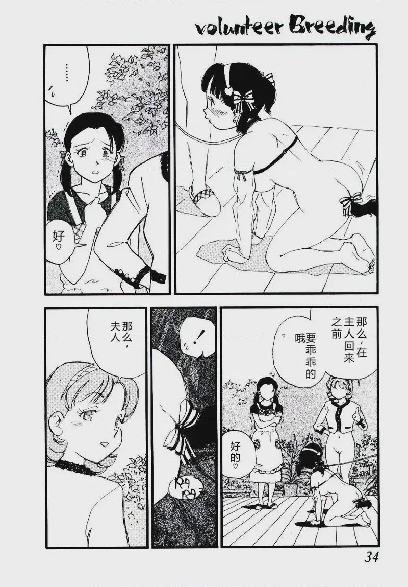 第 1 章, 페이지 33