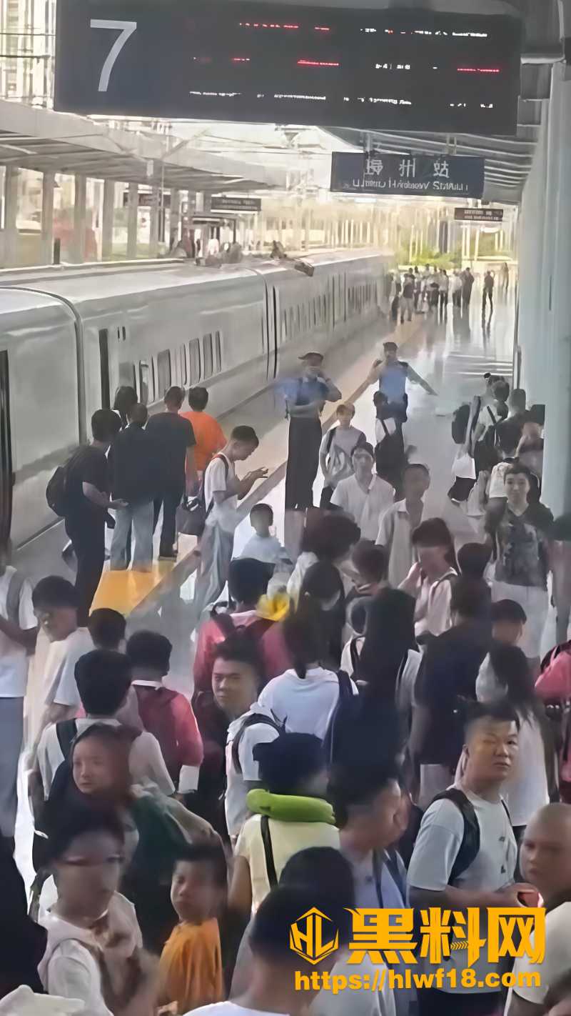 柳州火车站高压电击事故通报细节3