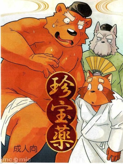 珍寶藥 的封面