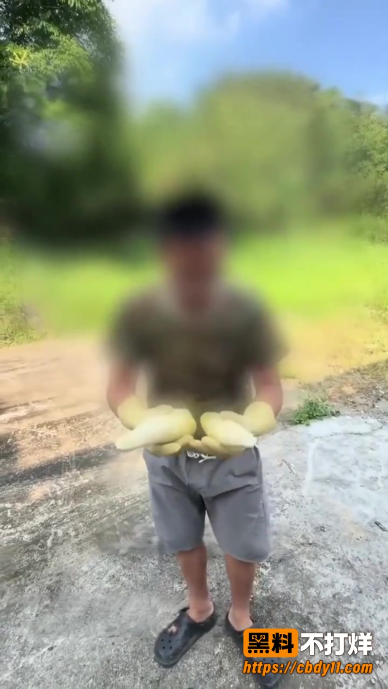网红6