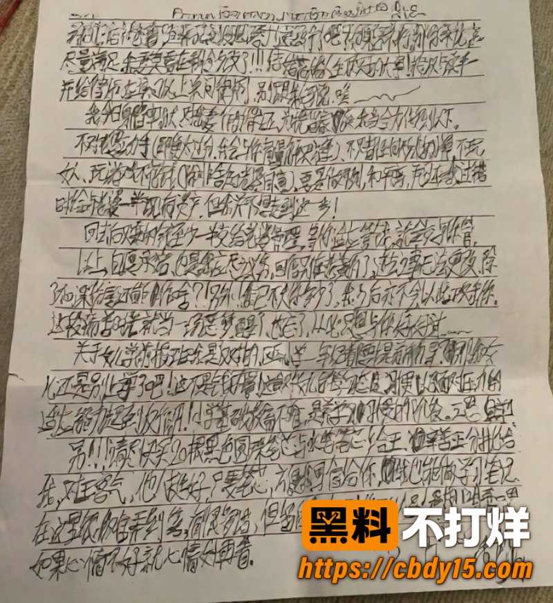 安徽网红L吹气球 24