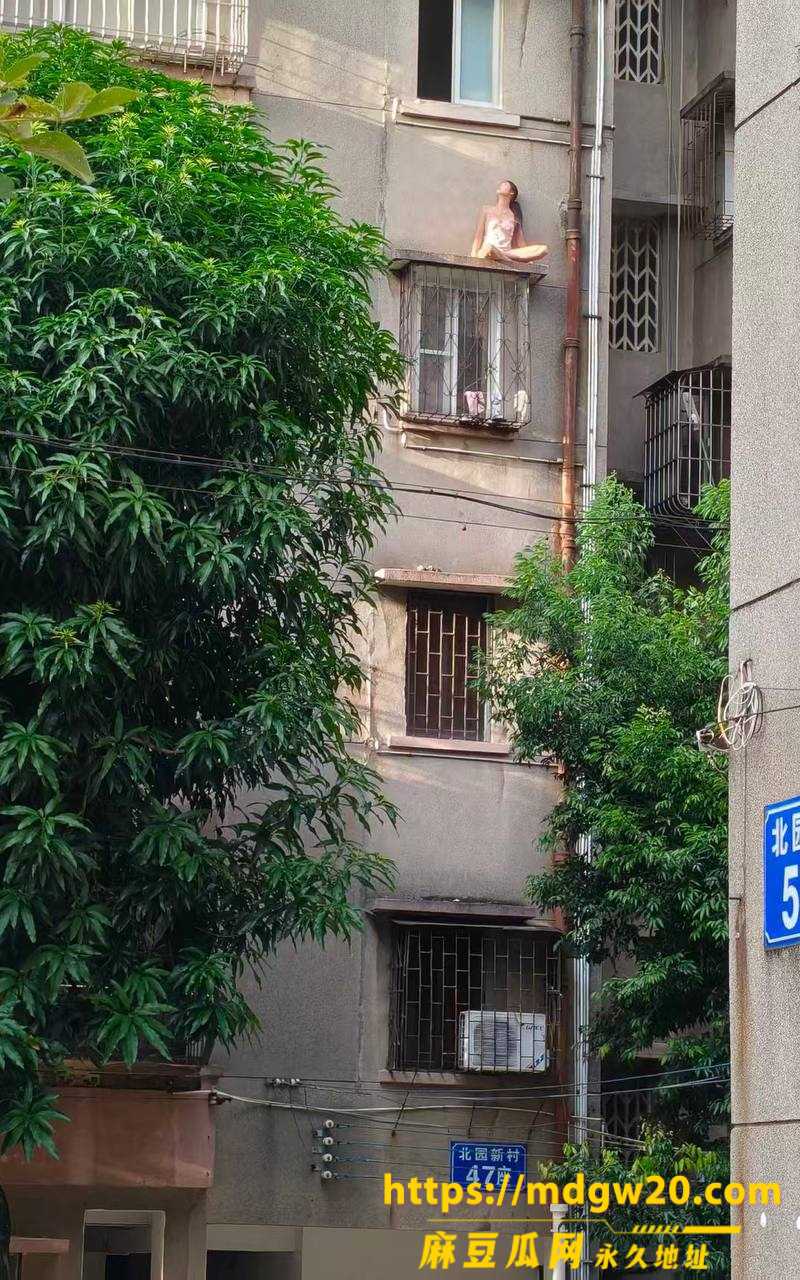 广东江门市新会区北园新村10