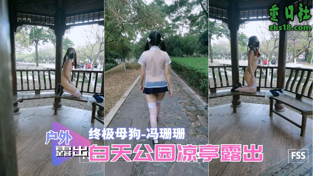 Плакат для 终极母狗冯珊珊-白天公园凉亭露出