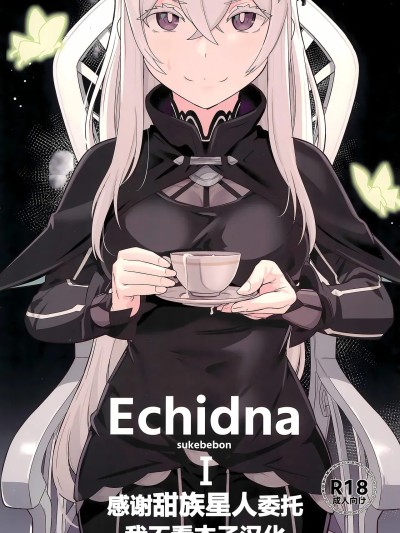 [甜族星人x我不看本子汉化]  (C99) [御花畑 (芝石ひらめ)] Echidna sukebebon 的封面