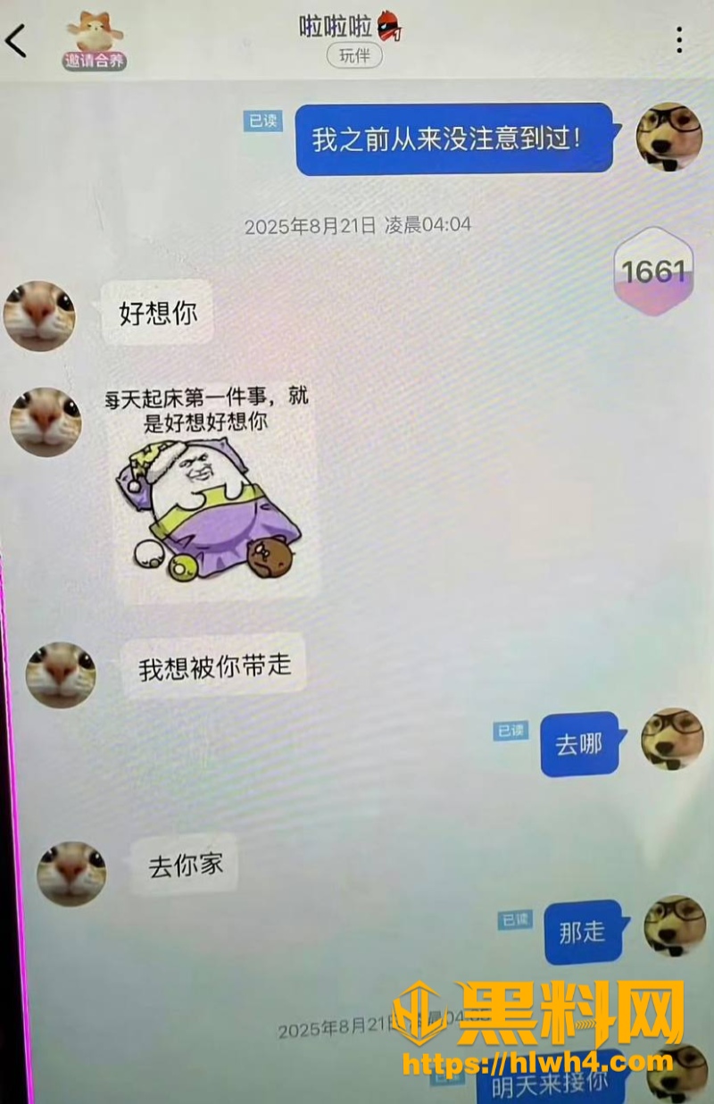 聊天记录 15