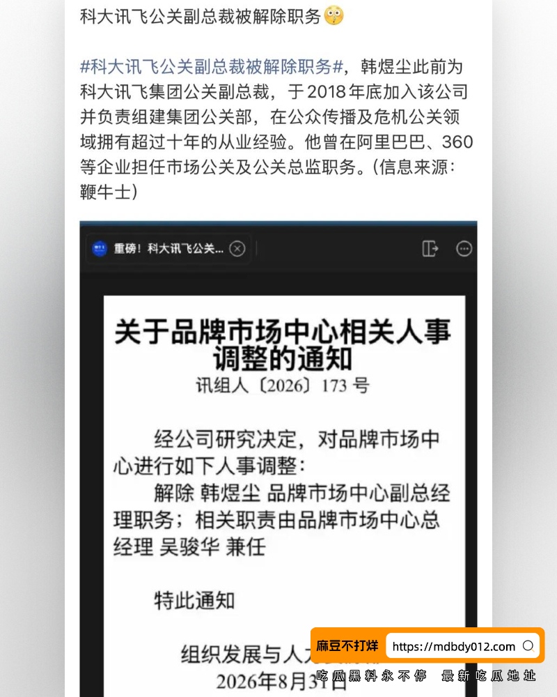 科大讯飞公关 (39)