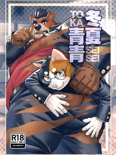 Poster para sa 冬夏青青