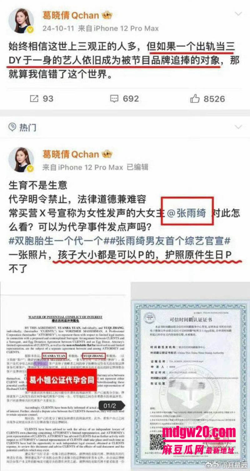 内地女明星张雨绮再被点名 被葛晓倩再次公开发文直指张雨绮代孕 因深陷争议彻底和影视圈无缘
