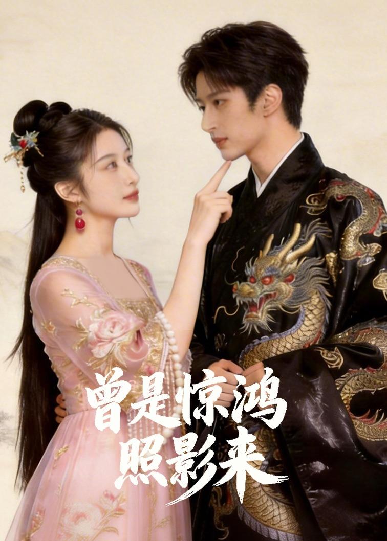 曾是惊鸿照影来