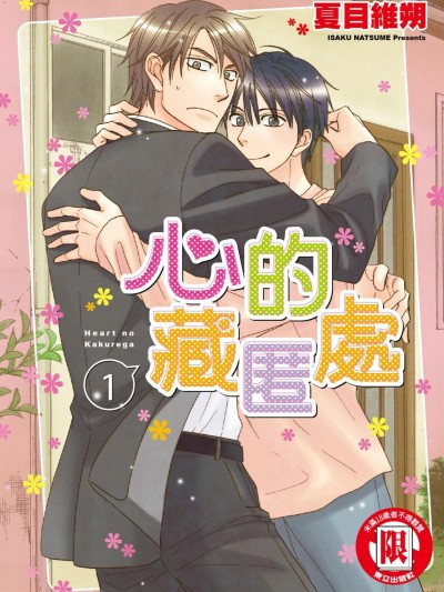 Poster for 心的藏匿处