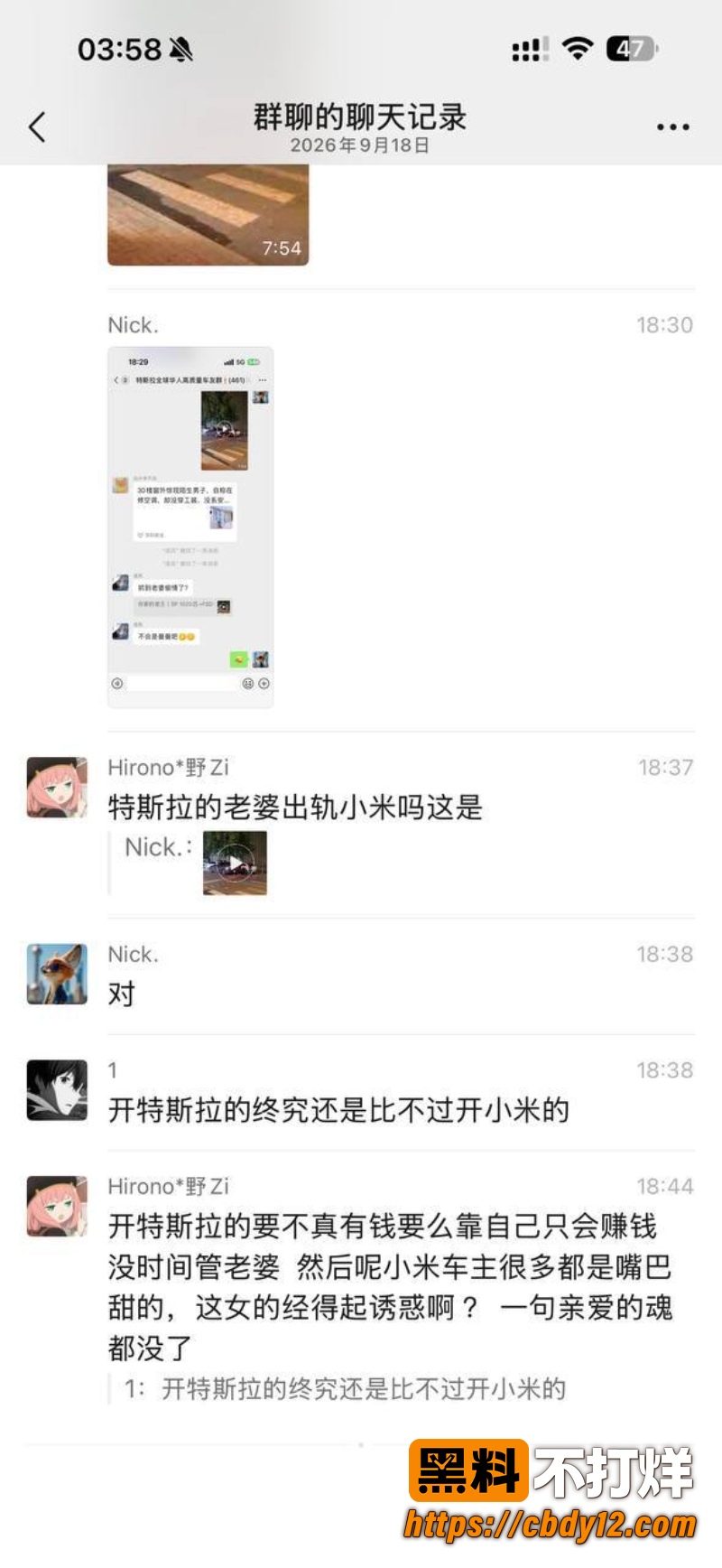 特斯拉车主的妻子 9
