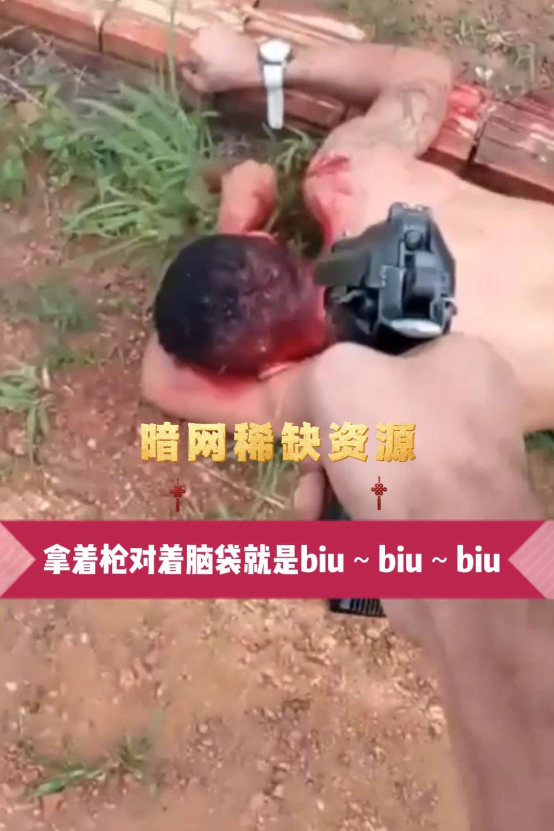 〔暗网资源〕拿着枪对着投就是biu,biu のポスター