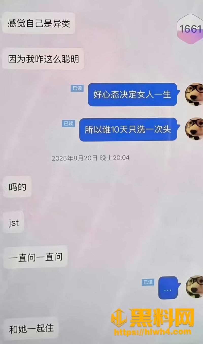 聊天记录 13