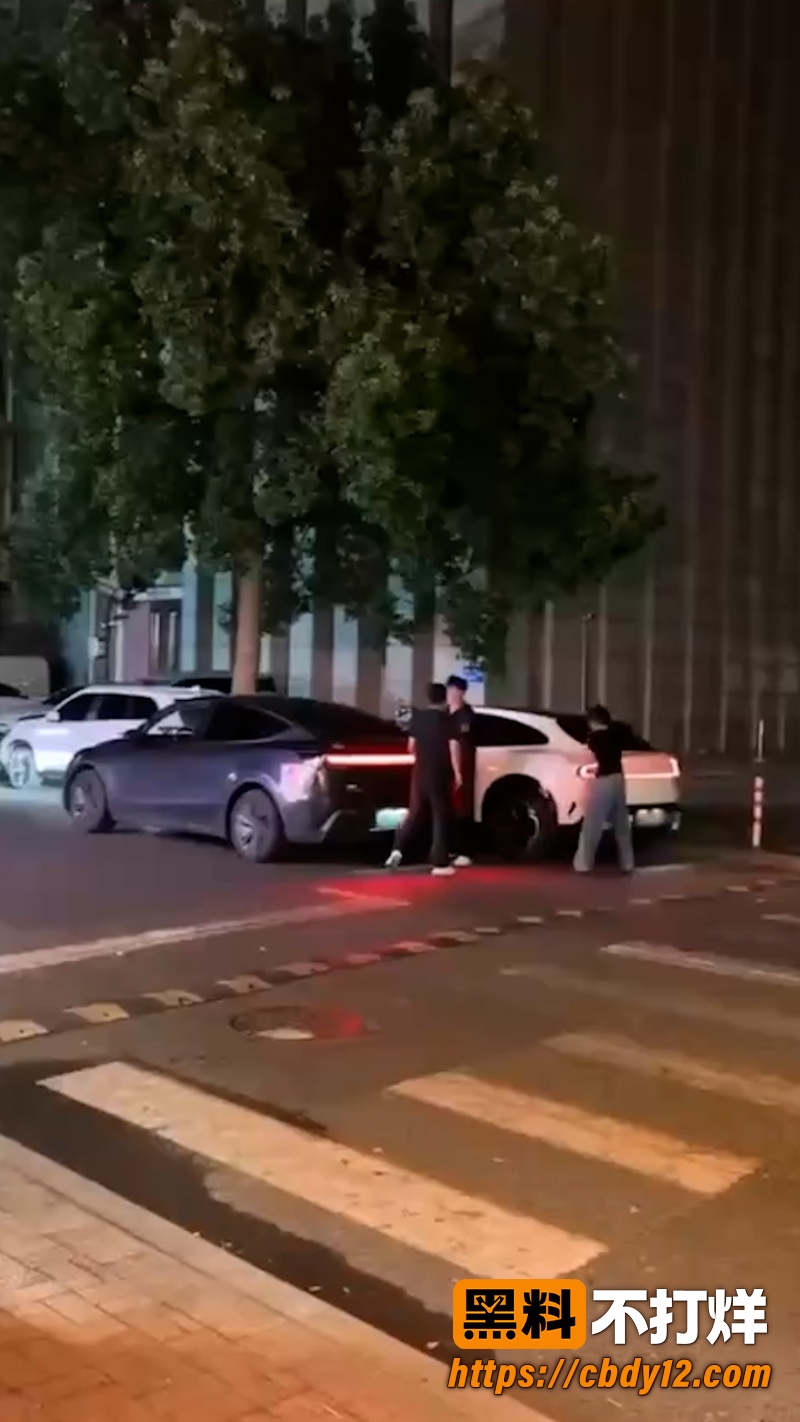 特斯拉车主的妻子 1
