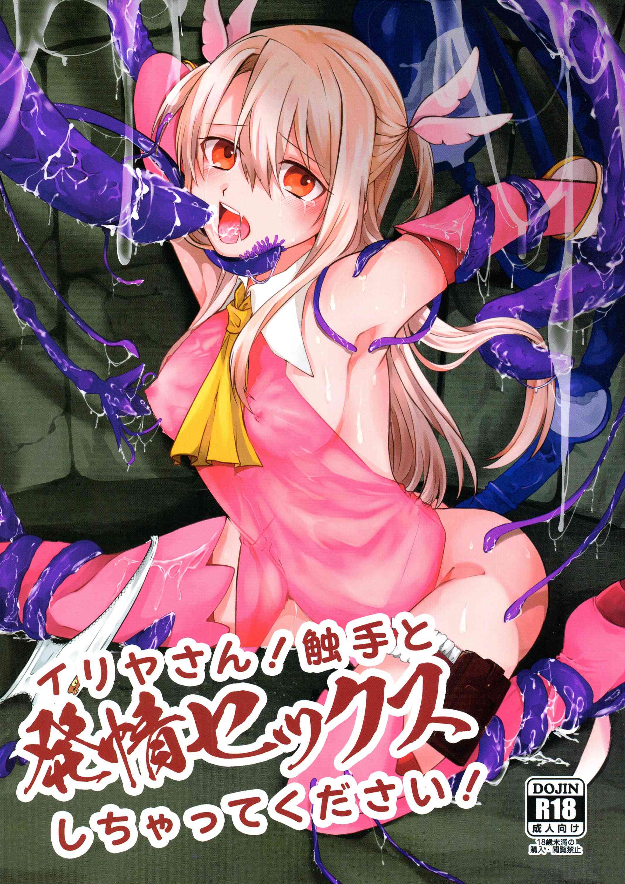 伊利亚桑！请与触手发生性关系 的封面