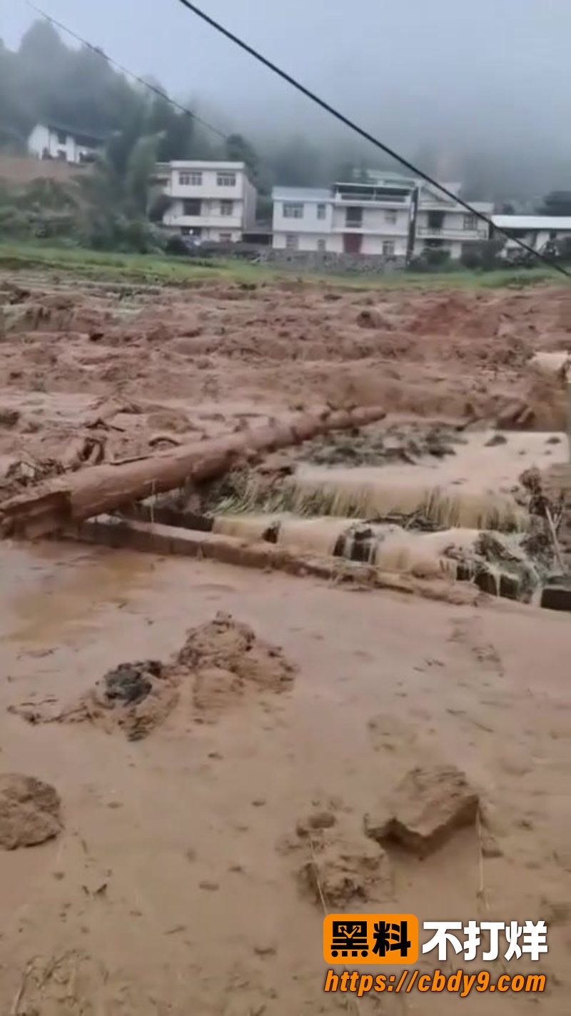 江西遂川高坪镇泥石流灾害 7