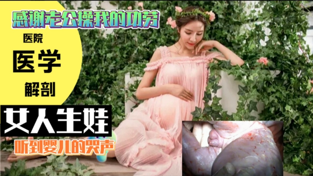 Плакат для 医院医学解剖女人生娃