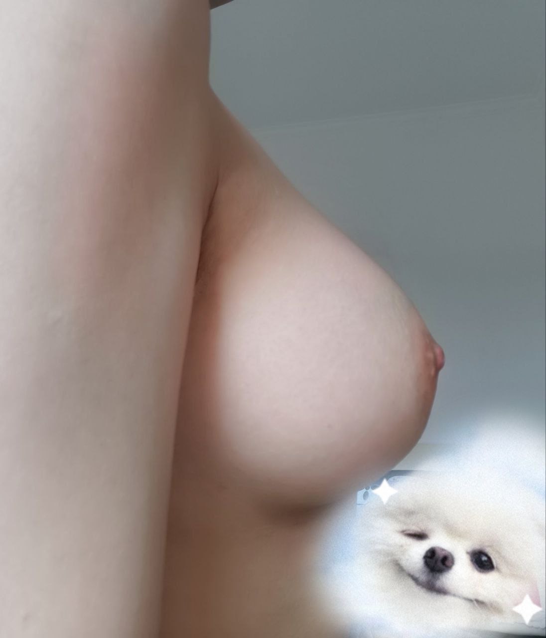 我想玩这个