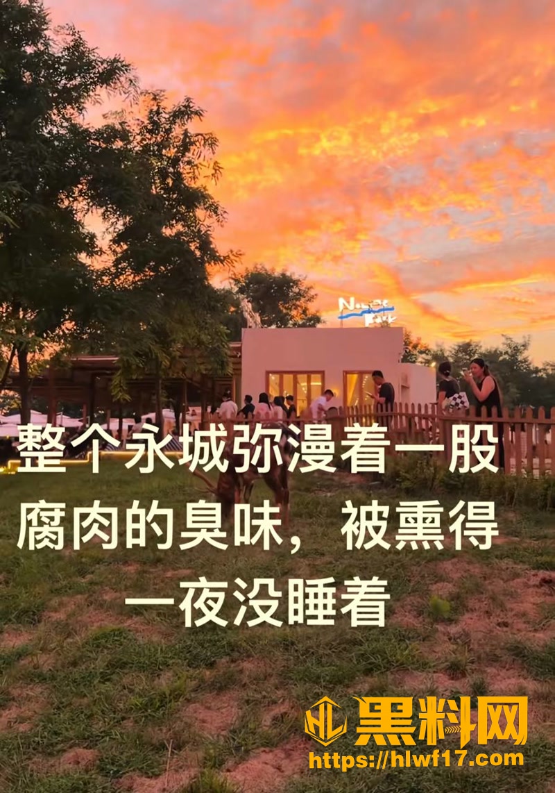03永城半夜腐肉味熏醒1 3wm