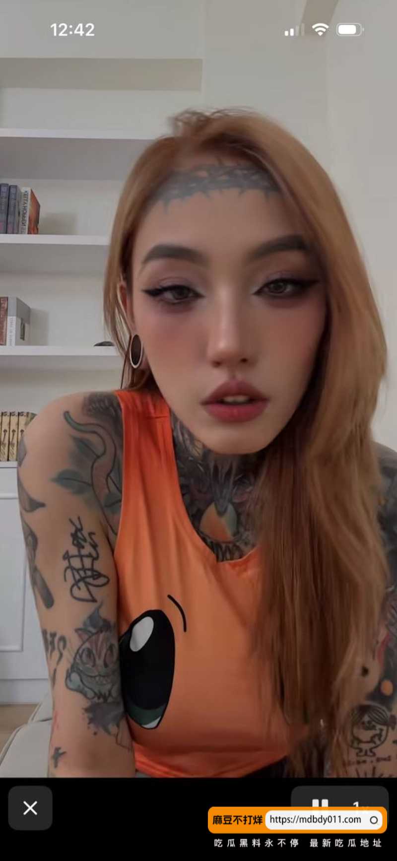 鱿鱼4