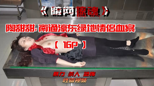 Плакат для 陶甜甜，南通濠东绿地情侣血案【16P】