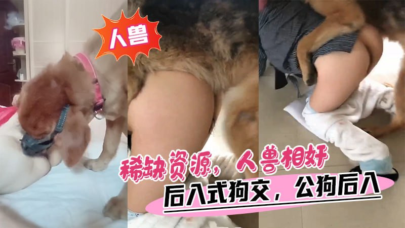 【人兽】稀缺资源，人兽相姦，后入式狗交，公狗后入