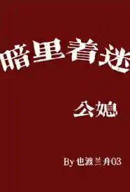 Áp phích cho 暗里着迷（公媳）