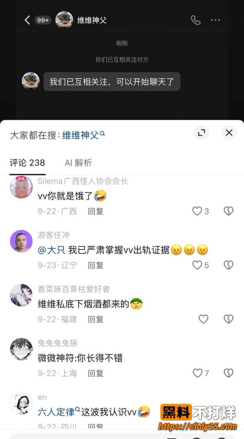 维维神父 28