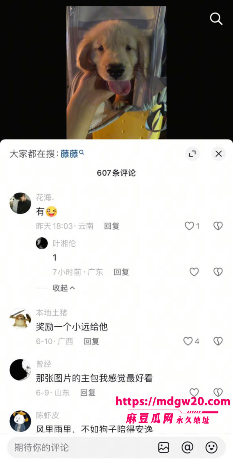 抖音58万粉清纯网红藤藤菜 账号突然被封禁 疑似私拍福利视频外流