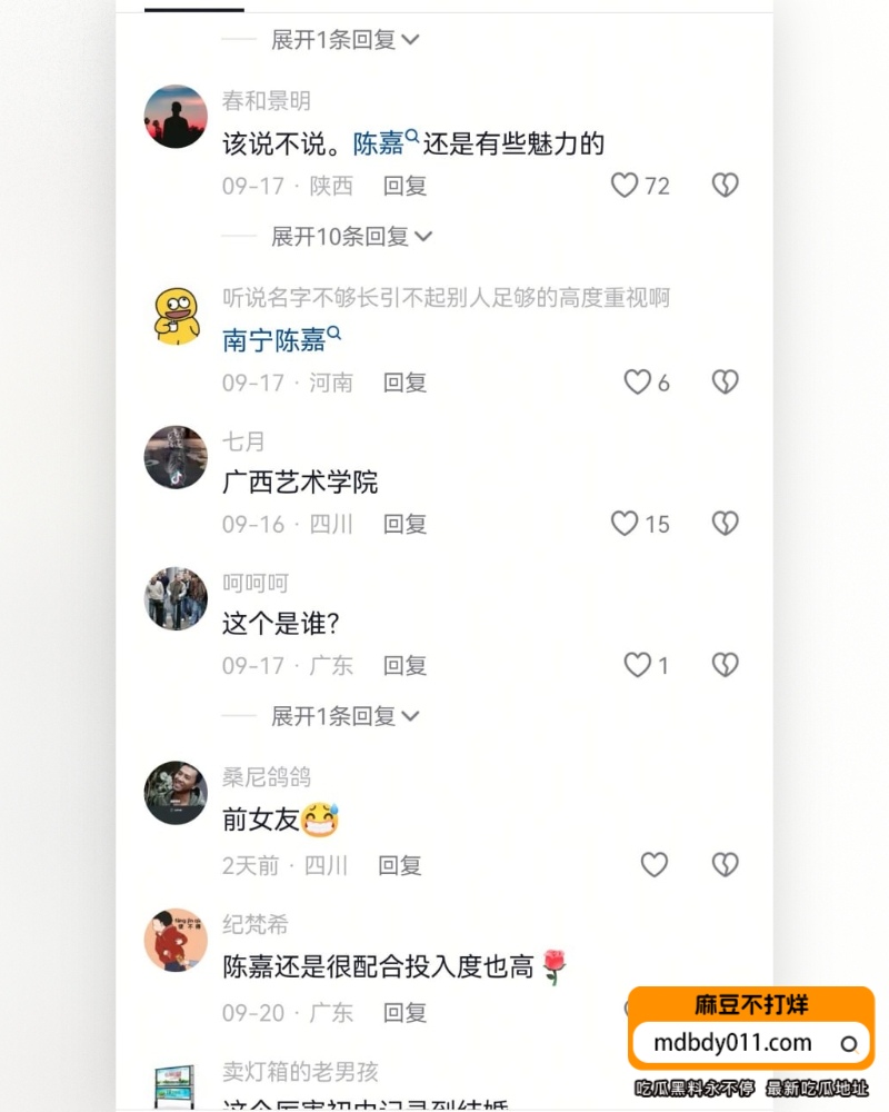 陈嘉 (11)