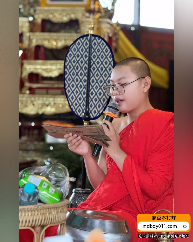 提纳蓬克朗迪 (11)