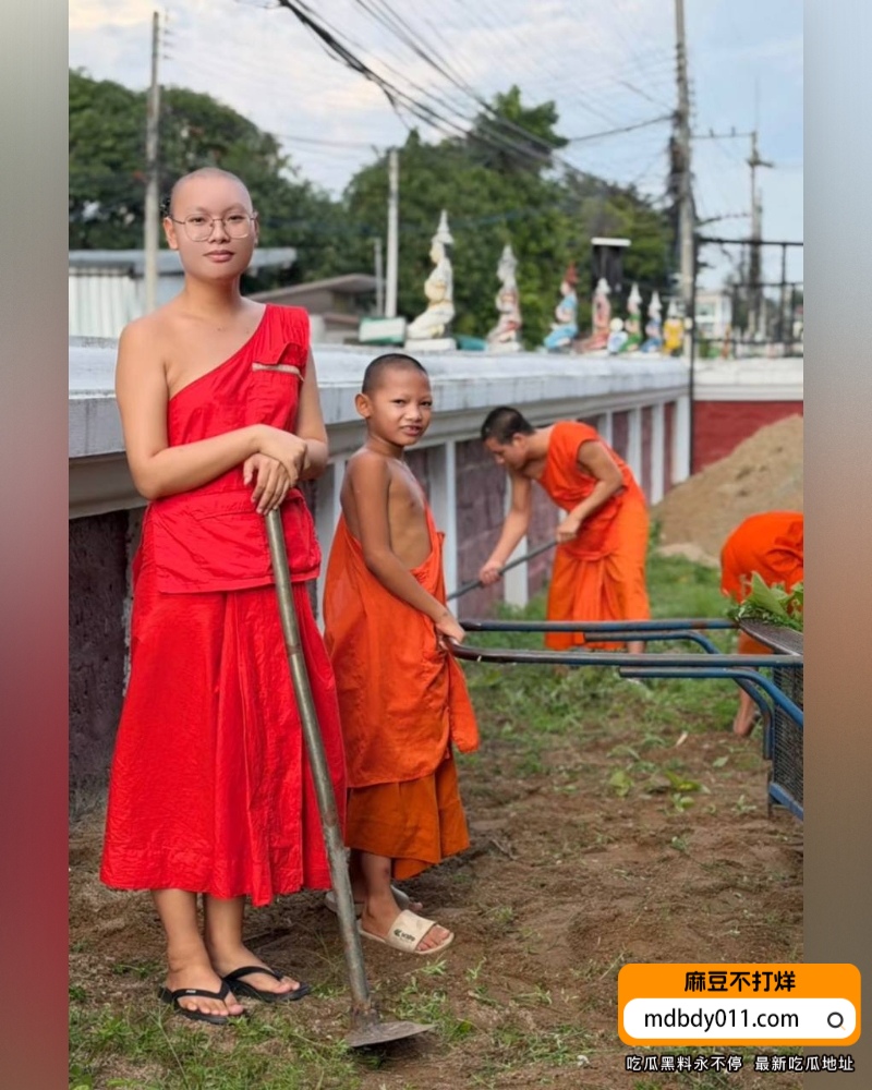提纳蓬克朗迪 (12)