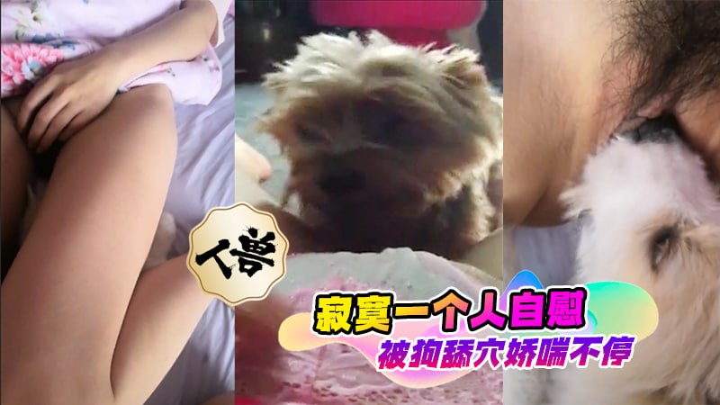 【人兽】寂寞一个人自慰，被狗舔穴娇喘不停