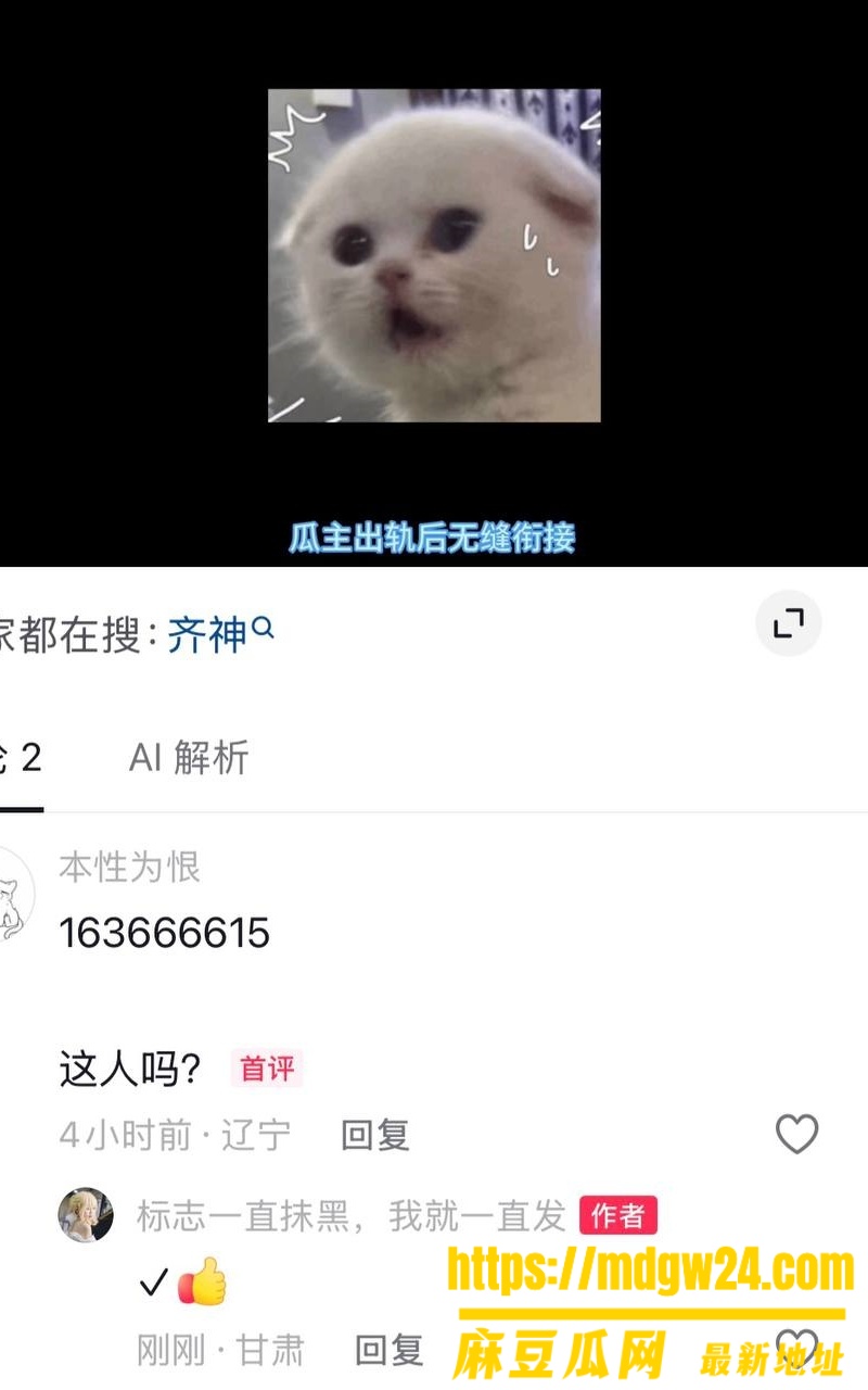 抖音2.4万粉Cos博主 齐神11