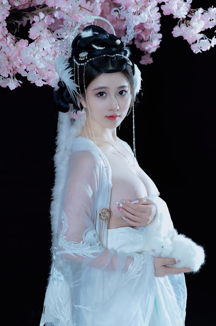 Плакат для 年年 - 嫦娥仙子
