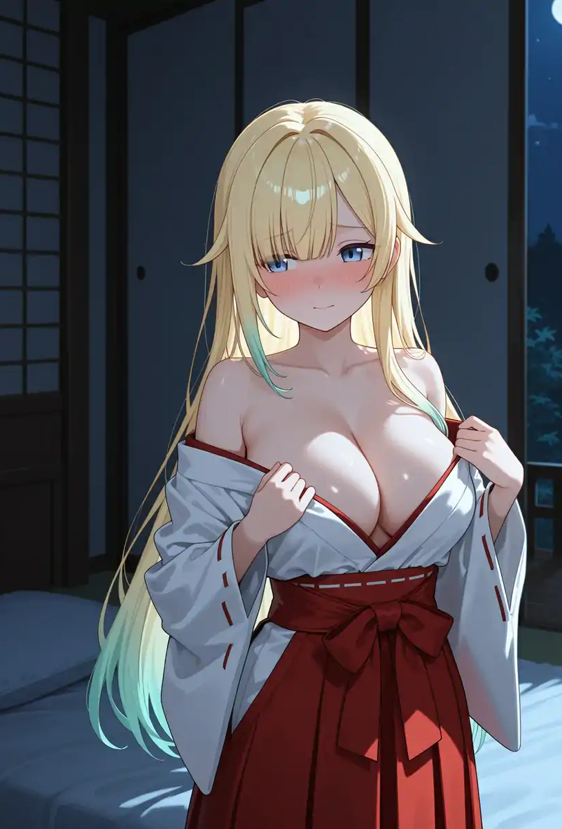 妖精王后桂妮薇儿の堕落 的封面