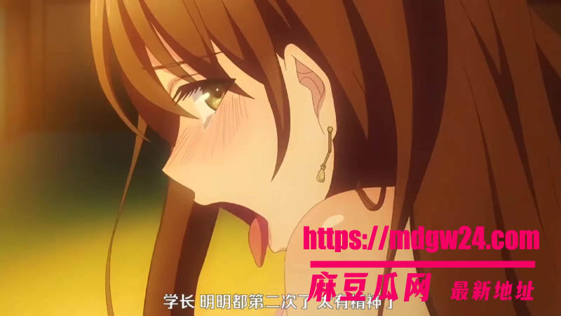 Selected Japanese adult anime: Couple Swap - Episode 1: The Night That Can't Be Returned - Four People Go on a Four-Day, Three-Night Trip